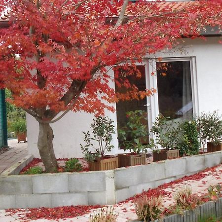 Haus Magnolia 2 Appartement Kandern Buitenkant foto
